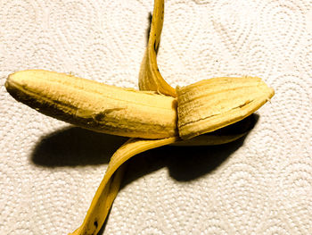 Close-up of yellow fruit against white background