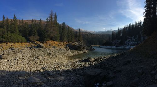 Panoramic view of lake and trees against sky