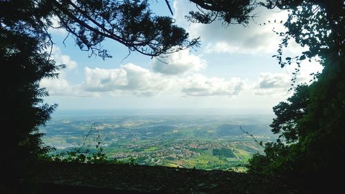 Trees on landscape against sky