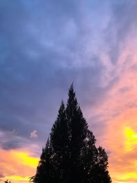 Low angle view of silhouette tree against sky at sunset