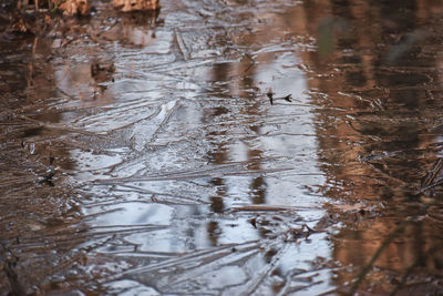 High angle view of raindrops on puddle
