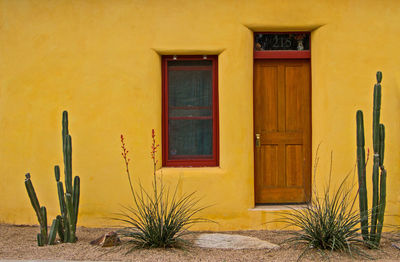 Closed door of house