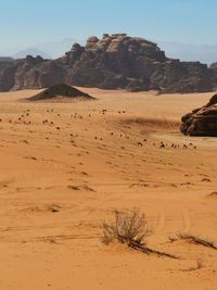 Scenic view of desert against sky