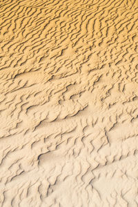 Beautiful natural wavy lines carved into the sand by the wind in bolonia, spain