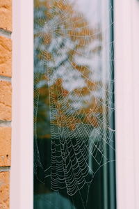 Close-up of glass window