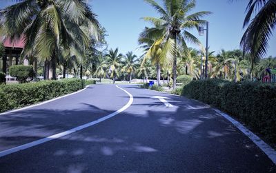 Road by palm trees against sky