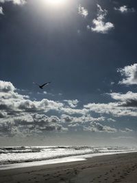 Seagull flying over sea against sky