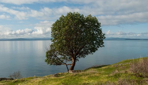 Scenic view of sea against cloudy sky