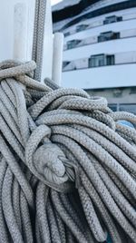 Close-up of rope tied up of boat