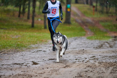 Low section of person with dog running on road