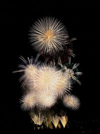 Low angle view of firework display at night