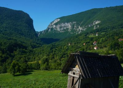 Scenic view of trees and houses against sky