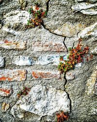 Full frame shot of tree trunk