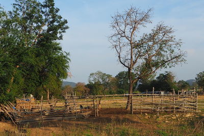 Trees on landscape against sky