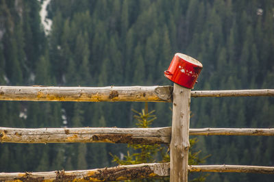 Red pot on post amidst plants on fence