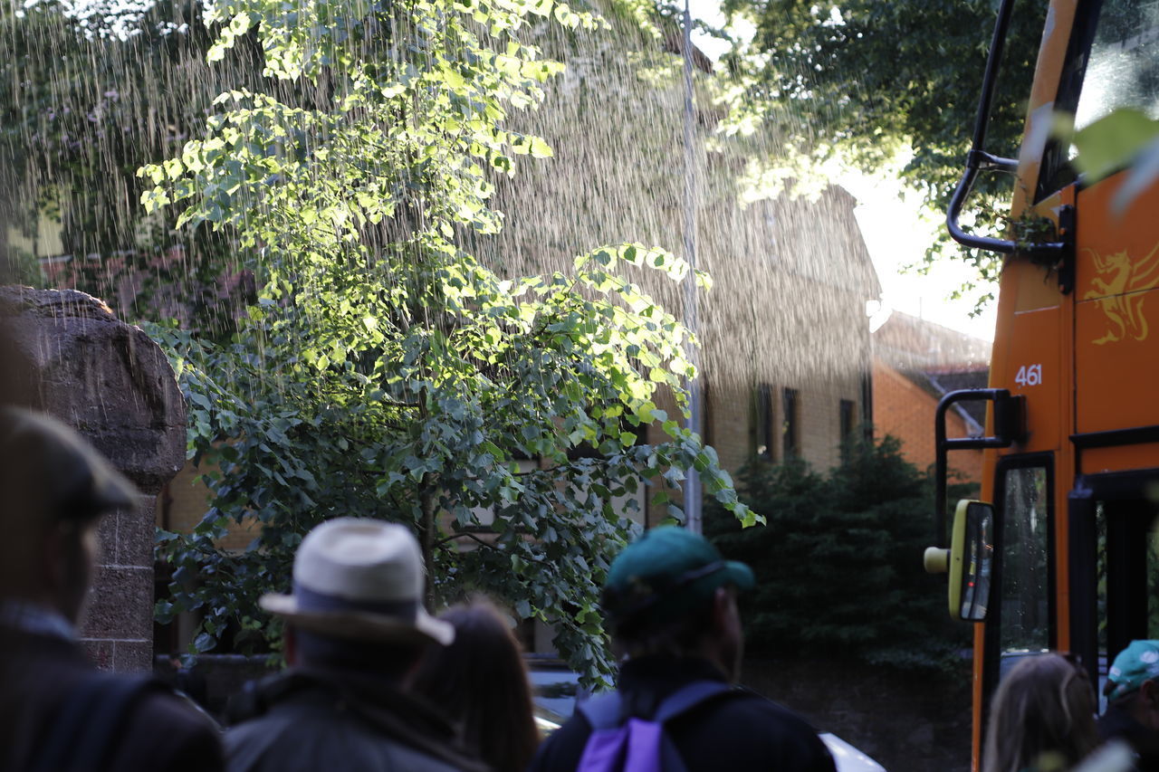 REAR VIEW OF PEOPLE ON STREET AMIDST TREES