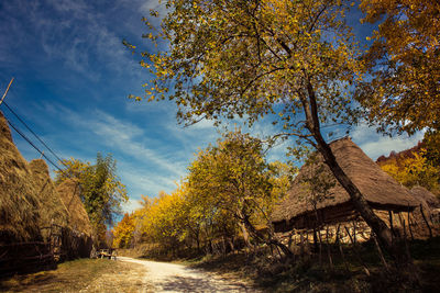 Empty road amidst trees and thatched roofs on field