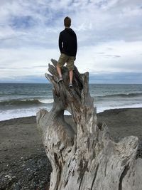 Rear view of man standing on beach against sky