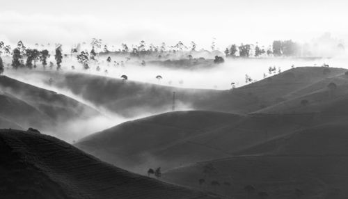 Panoramic view of land against sky