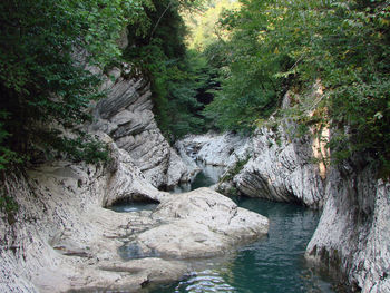 Stream flowing through rocks in forest