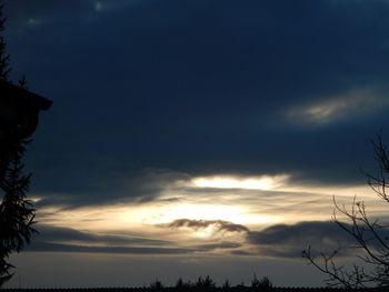 Low angle view of trees against cloudy sky