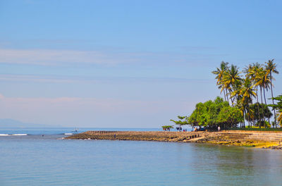 Calm beach with palm trees