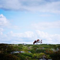 Scenic view of landscape against cloudy sky