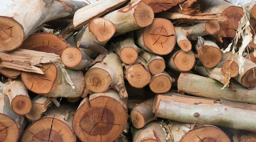 Full frame shot of logs in forest