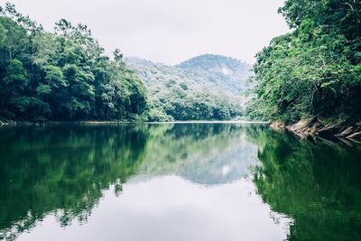 Scenic view of lake by trees against sky