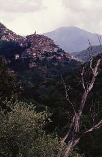 Scenic view of trees and mountains against sky