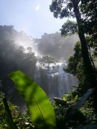 Scenic view of waterfall in forest against sky