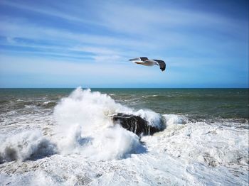 In front of the fishing port of essaouria, morocco. waves breaking on a rock.