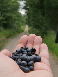 Cropped image of hand holding pebbles