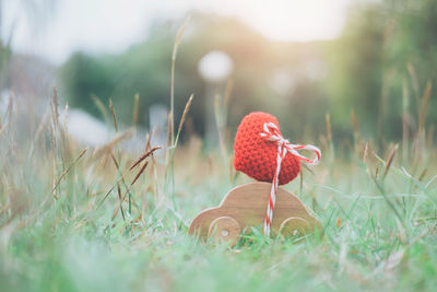 Close-up of toys on grassy field