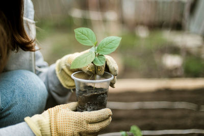 Midsection of woman holding potted plant