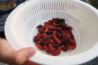 High angle view of person holding strawberry in plate