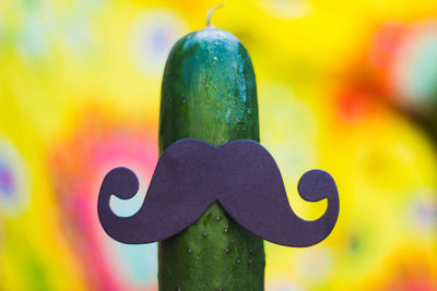 Close-up of artificial mustache on cucumber outdoors