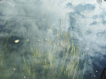 Full frame shot of water