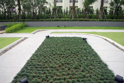 High angle view of formal garden