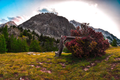 Scenic view of mountains against sky