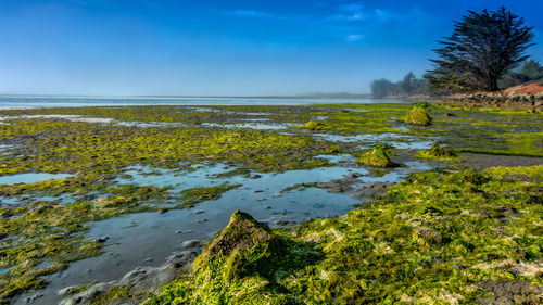 Scenic view of land against sky