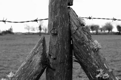 Close-up of barbed wire on wooden post