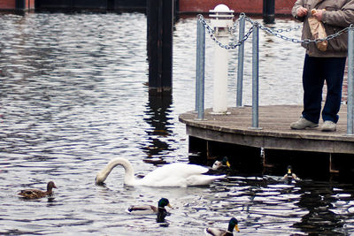 Low section of man feeding birds at lake