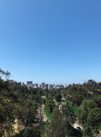 Trees and buildings against clear blue sky