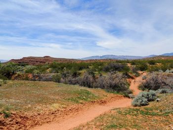 Dirt road amidst plants against sky