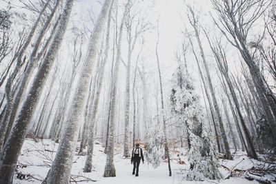 Rear view of woman on snow covered landscape against sky