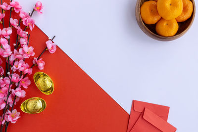 High angle view of fruits on table against white background