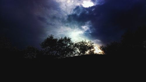 Low angle view of silhouette trees against sky