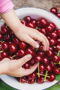 Cropped hand of woman holding fruit