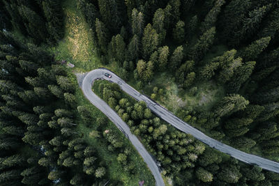 High angle view of road amidst trees in forest